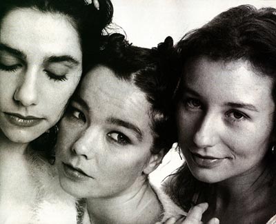 400bjork04.jpg