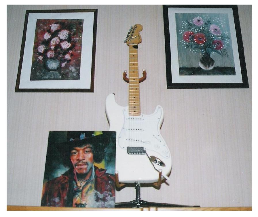 hendrix_3.JPG