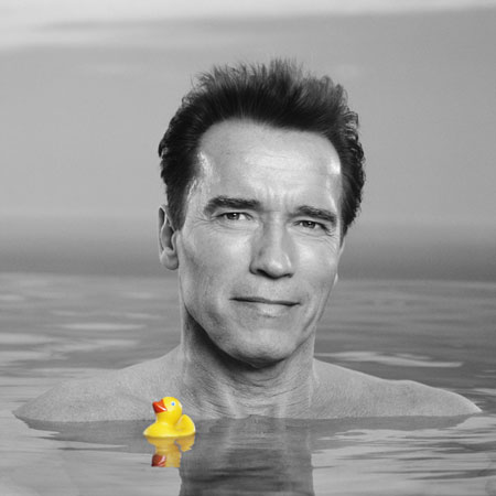 schwartzenegger_yellow_duck.jpg