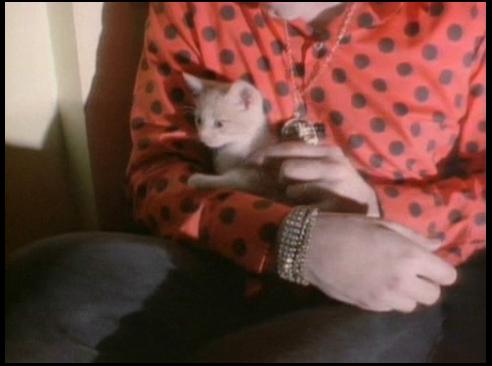 love_cats.JPG