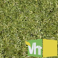vh1.jpg