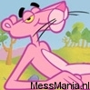 pinkpanter.jpg