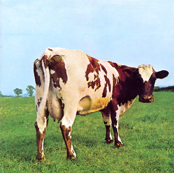 Pink_Floyd___Atom_Heart_Mother___Cover.JPG