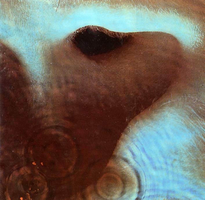 Pink_Floyd___Meddle.cover.JPG