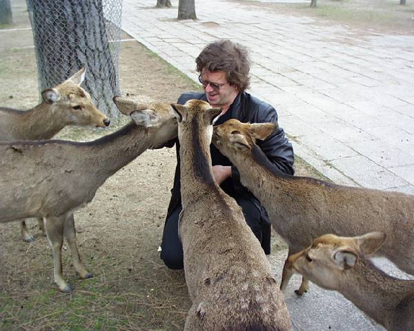 deers5.jpg
