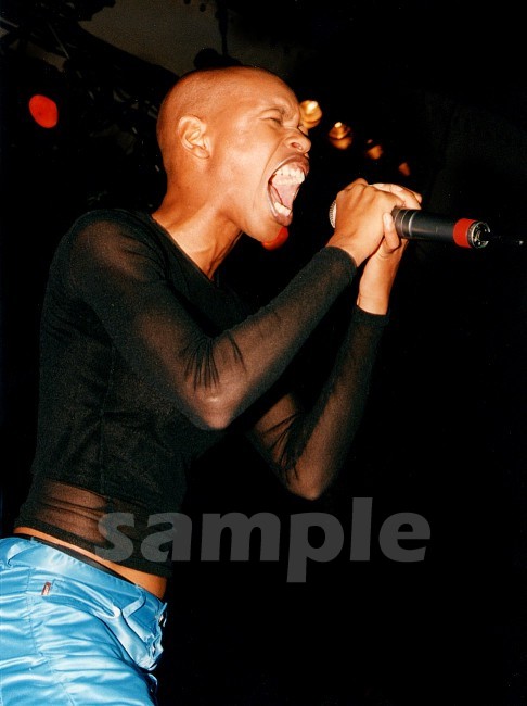 SKUNK_ANANSIE_fgl96_Skin_02Cs.jpg