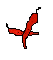 X.JPG