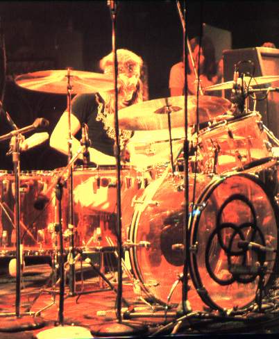 bonzo.jpg