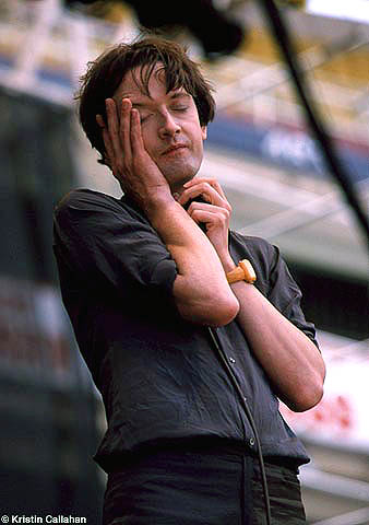38313_lg.jpg