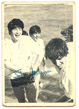 beatles_swim2.jpg