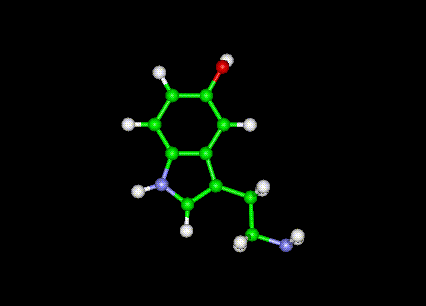 serotonin.gif