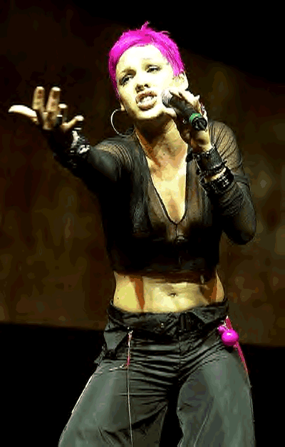 pink_concert_photo_5.gif