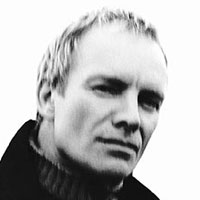 sting.jpeg