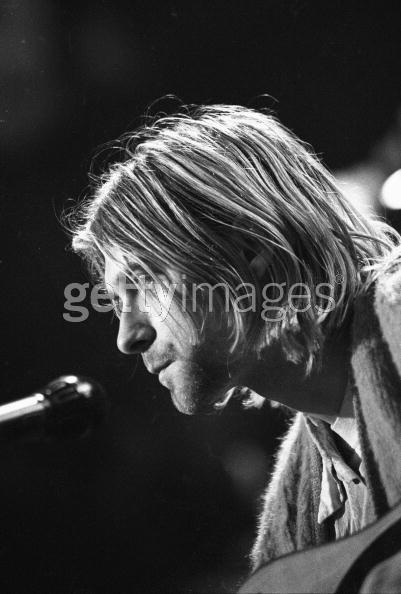 3219786.jpg