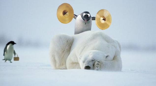 Why_Penguins_have_short_lives.jpg