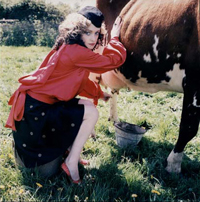 aslisoncow_1_.jpg
