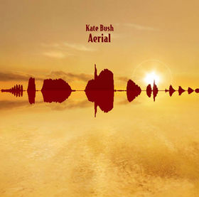 aerial.jpe