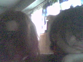 Picture_39.jpg