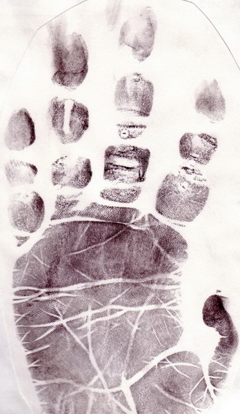 l_20hand_20chimp_203_20jaaruitsnede_1_.jpg