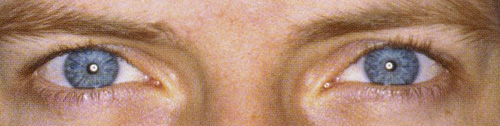 eyes_579.jpg