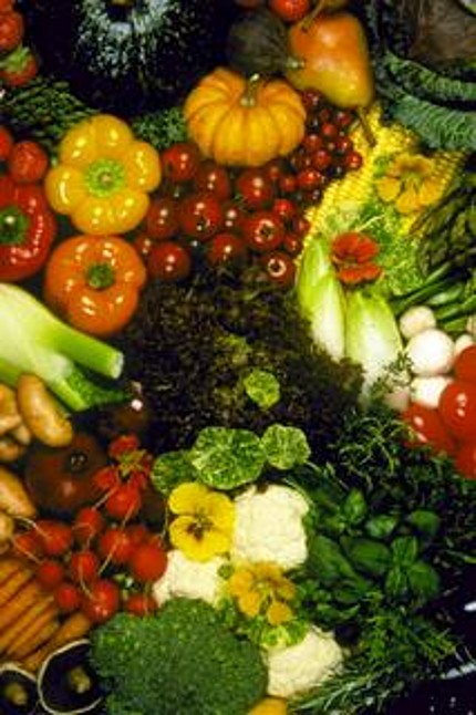 organic_vegetables.jpg