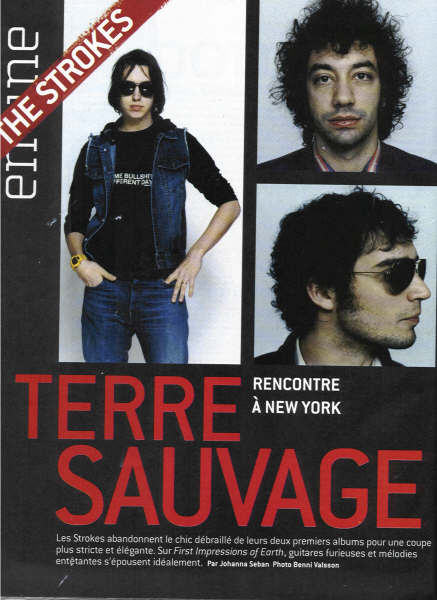 strokes_20terre_20sauvage.jpg