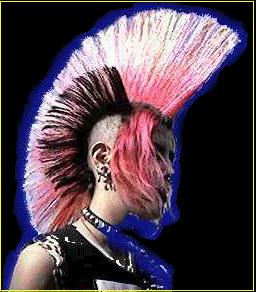 punk.jpg