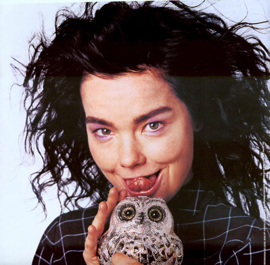 snuggleowl1.jpg