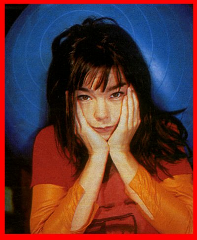 bjork19.jpg