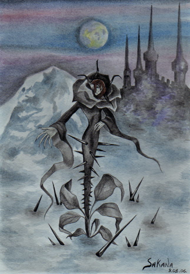 Black_rose0002.jpg