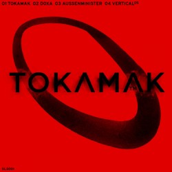 _tokamak_20_28red_29.jpg