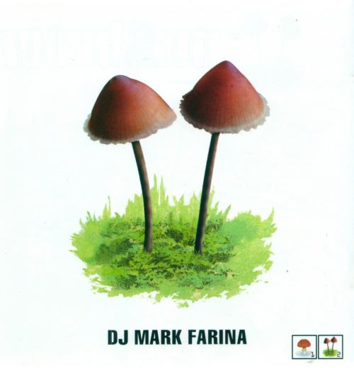 mushrooom_jazz_2front.jpg