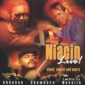 1192021747_niacin_bloodsweetbeers.jpg