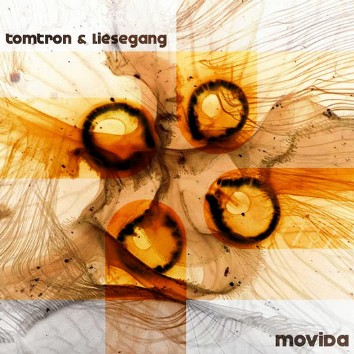 00_tomtron_and_liesegang___movida_2007_psycz.jpg