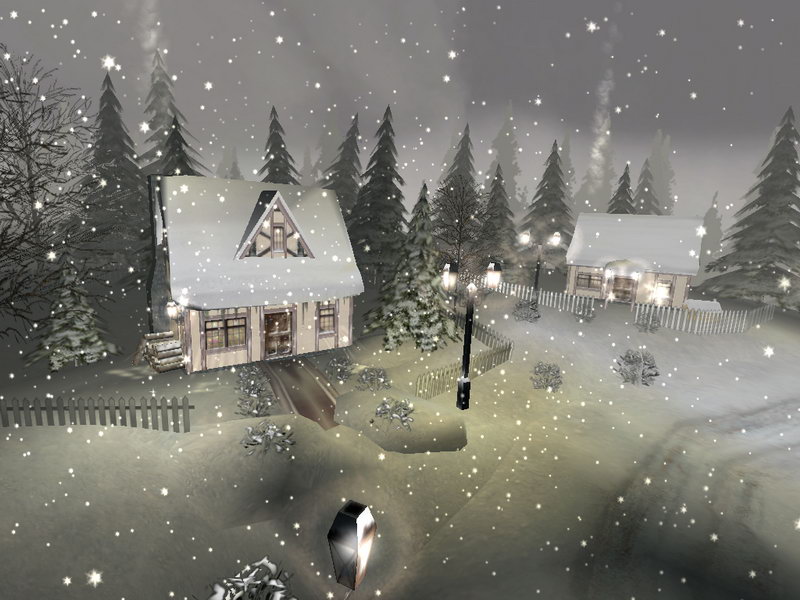 winter.jpg