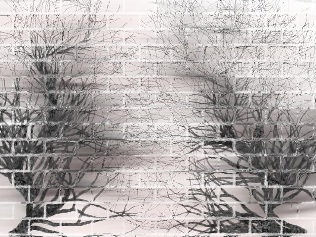 tree.jpg