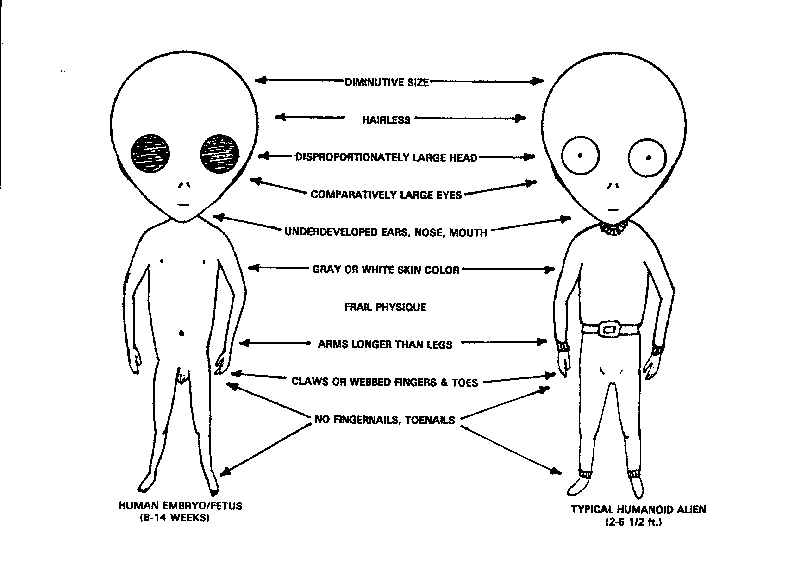 f2_14comp.gif