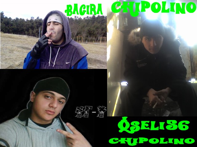 qseli56chipolinori0.jpg