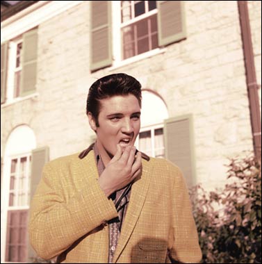 elvis_presley_graceland.jpg