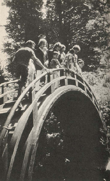 286.jpg