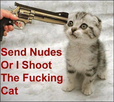 SendNudesCatFunny.jpg
