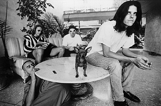 dogtable.jpg