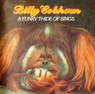 A_Funky_Thide_Of_Sings__1975_.jpg