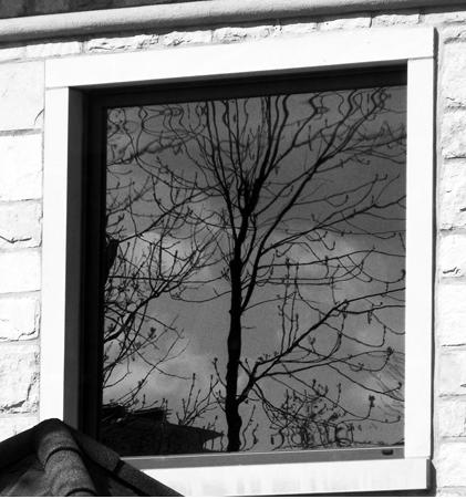 The_Window_by_sui_generis08.jpg