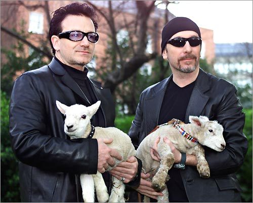 bono.jpg