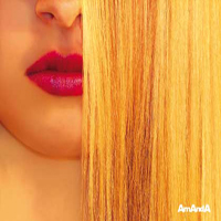 cover_103162692007.jpg