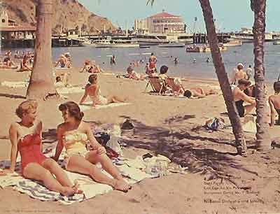 summer_holiday.jpg
