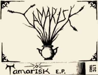tamarisk.jpg