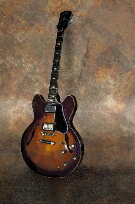 classic_vintage_gibson_335_brad_burns.jpg