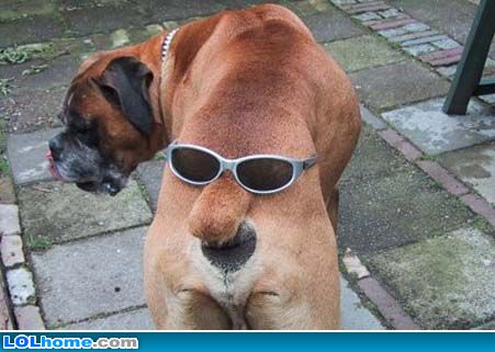 funny_picture_1475818506.jpg